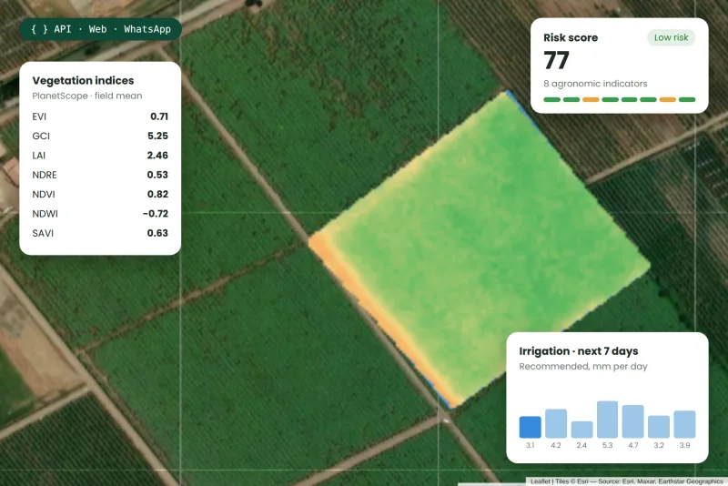 Processed satellite imagery with vegetation indices, risk score and irrigation plan