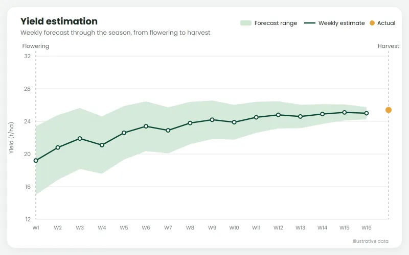 Weekly yield forecast from flowering to harvest