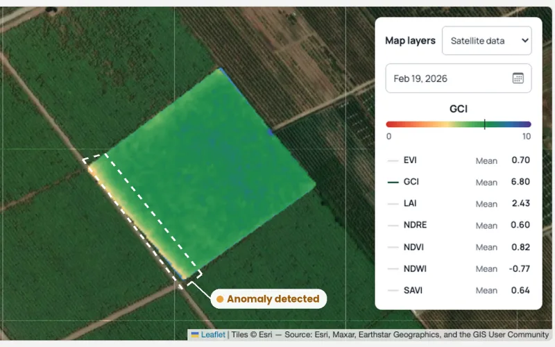 Vegetation anomaly detected along the edge of a field